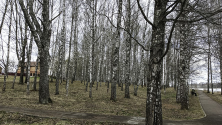 Similar image 22642612