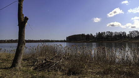 Similar image 22642614