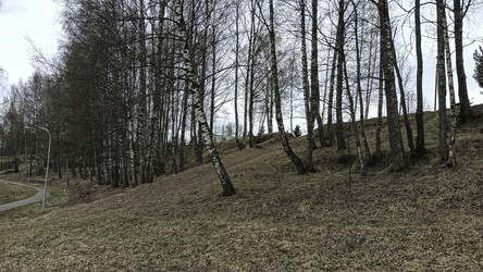 Similar image 22642617