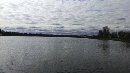 Similar image 22641399