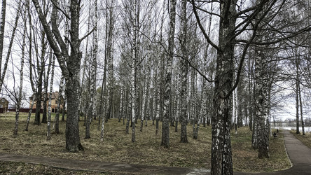 Similar image 22641243