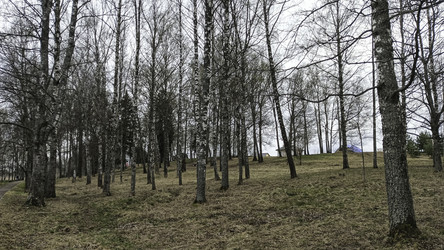 Similar image 22640601