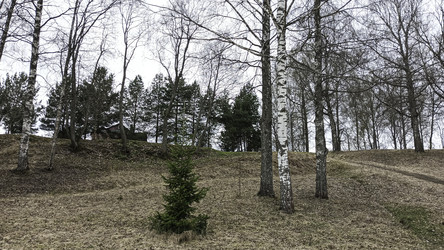 Similar image 22640611