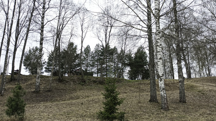 Similar image 22640616