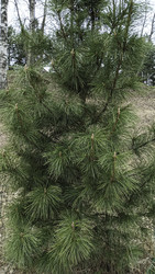 Similar image 22640539