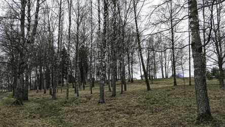 Similar image 22640542