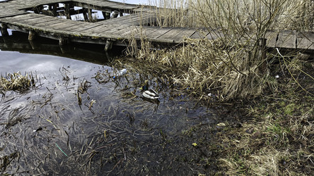 Similar image 22640546