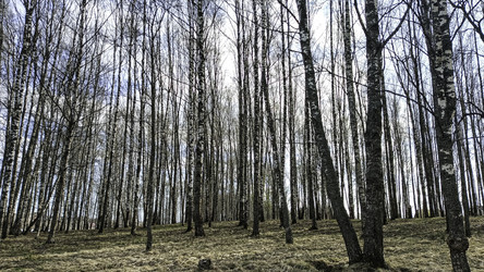 Similar image 22640549