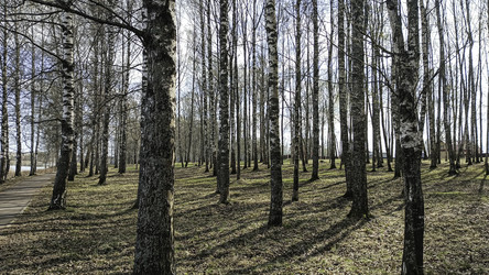 Similar image 22640576