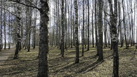 Similar image 22640593