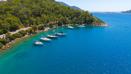 Similar image 22641021