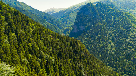 Similar image 22640930