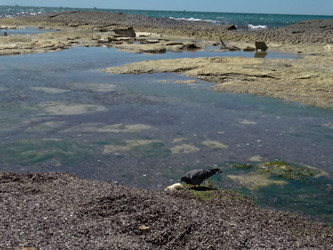 Similar image 22640403