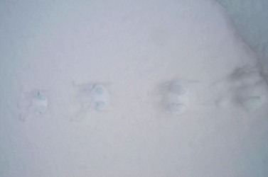 Similar image 22640523