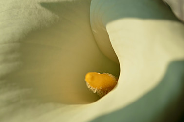 Similar image 22640536