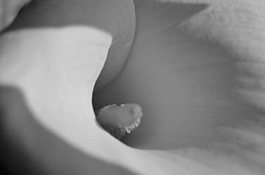 Similar image 22640617