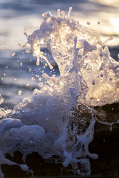 Similar image 22640719