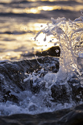 Similar image 22640720