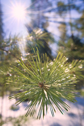 Similar image 22642572