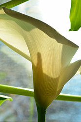 Similar image 22640621