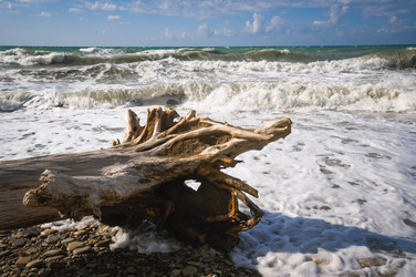 Similar image 22640734