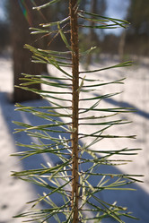 Similar image 22642574