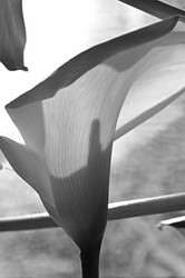 Similar image 22640624