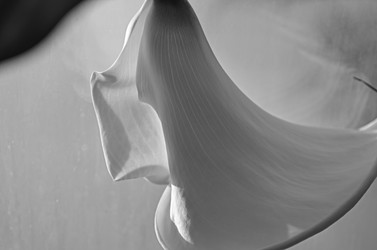 Similar image 22640631