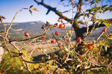 Similar image 22640739