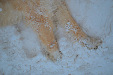 Similar image 22640632
