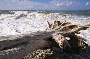 Similar image 22640748