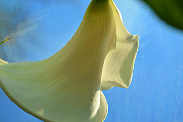 Similar image 22640643