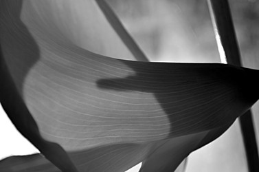 Similar image 22640660