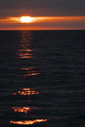 Similar image 22640751