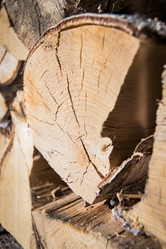 Similar image 22640761