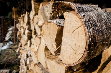 Similar image 22640764