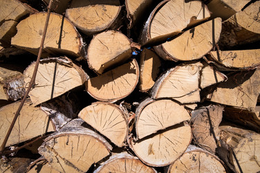 Similar image 22640765