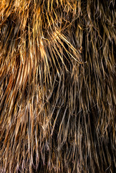 Similar image 22640489