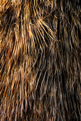 Similar image 22640490