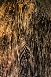 Similar image 22640491