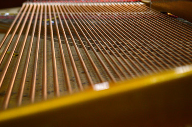 Similar image 22640449