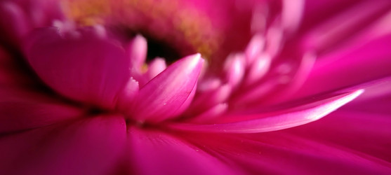 Similar image 22640464