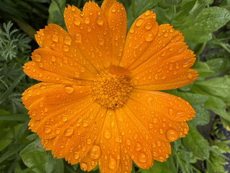 Similar image 22641554