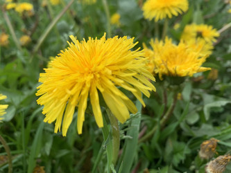 Similar image 22641555