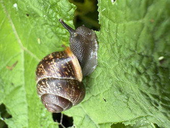 Similar image 22641557