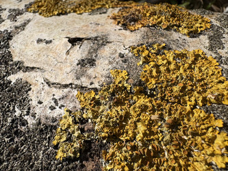 Similar image 22641559