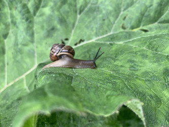 Similar image 22641565
