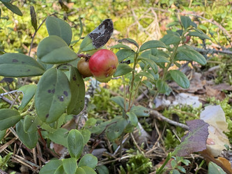 Similar image 22641566