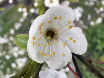 Similar image 22641568