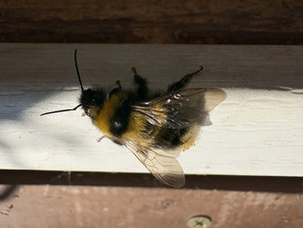 Similar image 22641570